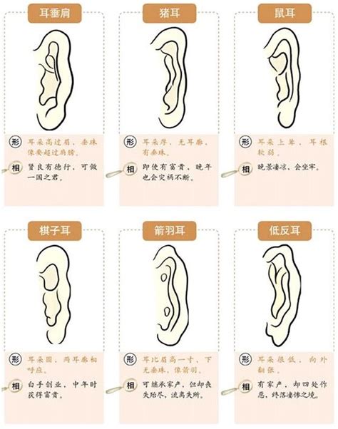 耳垂有珠|面相耳朵图解【最详细版】 – 杨易德全集官网